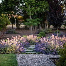 Equestrian Estate Oasis in Nipomo, CA 13